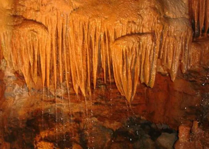 Alcobaca By Interhome בית נופש